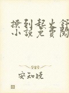 撩到起火舒漾的小说免费阅读全文