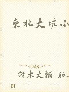东北大坑小说