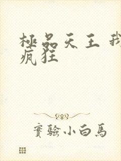 极品天王 我本疯狂