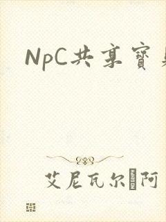 NpC共享宝贝