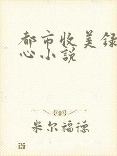 都市收美录宁素心小说