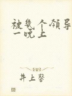 被几个领导玩弄一晚上