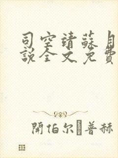 司空靖苏月汐小说全文免费阅读