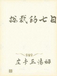 总裁的七日恋人