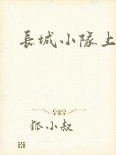 长城小队上中下