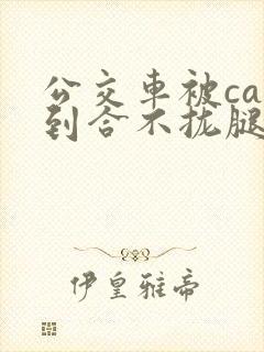 公交车被cao到合不拢腿视频