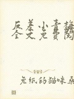 反差小青梅小说全文免费阅读