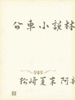 公车小说林蔓蔓