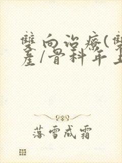 双向治疗(双/产/骨科年上)