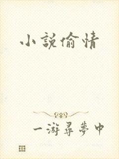 小说偷情