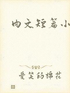肉文短篇小说