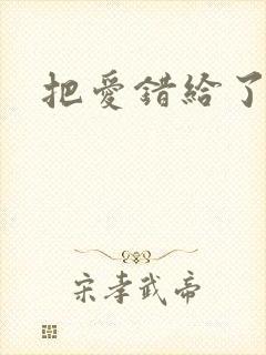 把爱错给了你封面