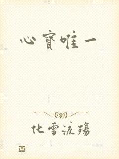 心宝唯一