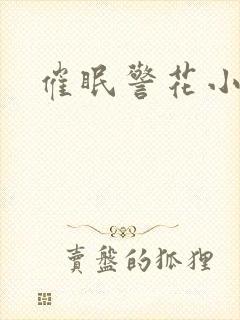 催眠警花小说