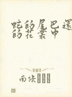 蛇的尾巴还在我的花丛中