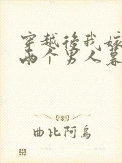 穿越后我嫁给了两个男人暮色酒歌