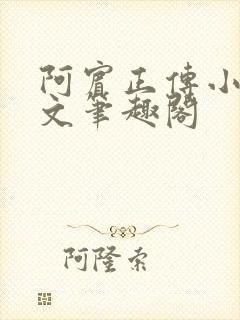 阿宾正传小说全文笔趣阁