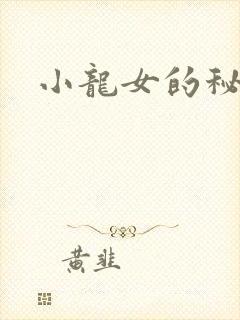 小龙女的秘密封面