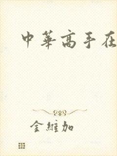 中华高手在异世