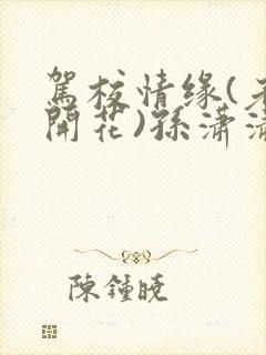 驾校情缘(老树开花)孙潇潇笔趣阁