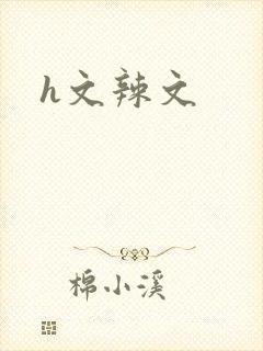 《h文辣文》小说封面