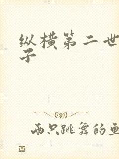 纵横第二世界宽子