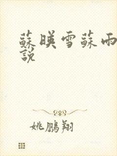 苏映雪苏雨柔小说