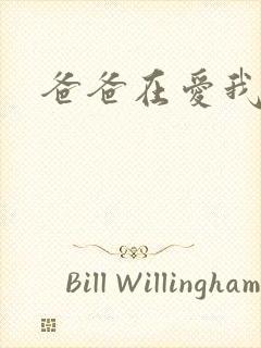 《爸爸在爱我一次》小说封面