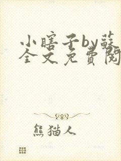 小瞎子by苏软全文免费阅读