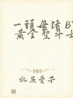 一头母猪 BY 黄金圣斗士