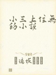 小三上位无三观的小说