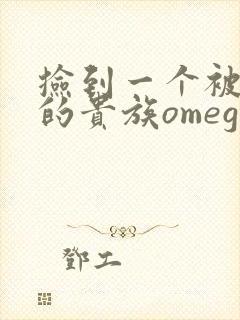 捡到一个被抹布的贵族omega