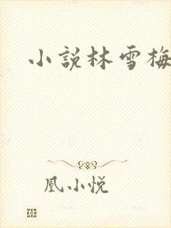 小说林雪梅