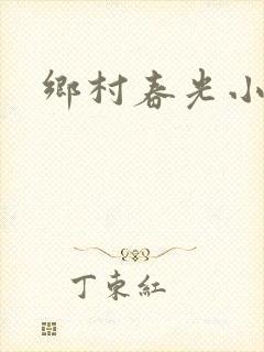 乡村春光小说