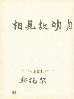 《相见故明月》小说封面