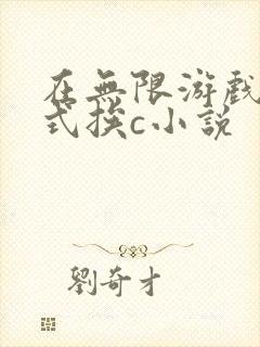 在无限游戏里花式挨c小说封面