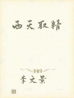 西天取精封面