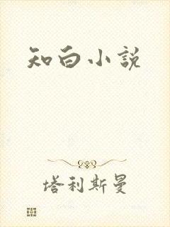 知白小说