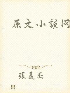 原文小说网