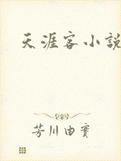 天涯客小说