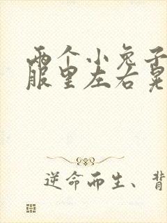 两个小兔子在衣服里左右晃