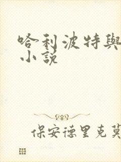 哈利波特与密室小说