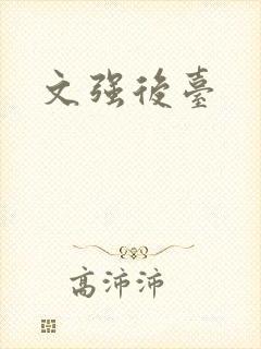 文强后台