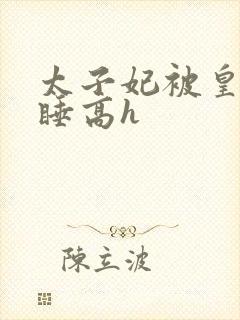 太子妃被皇上强睡高h