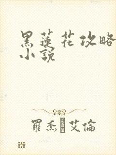 黑莲花攻略手册小说