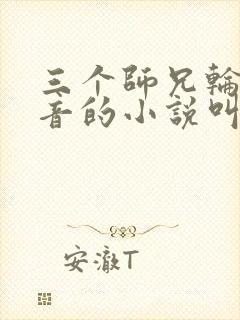 三个师兄轮流上音的小说叫什么