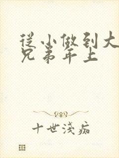 从小做到大骨科兄弟年上