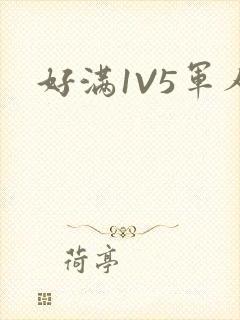 好满1V5军人