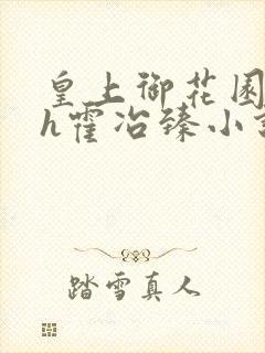 皇上御花园hlh霍冶臻小说