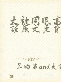 大被同眠高粱小说原文免费阅读